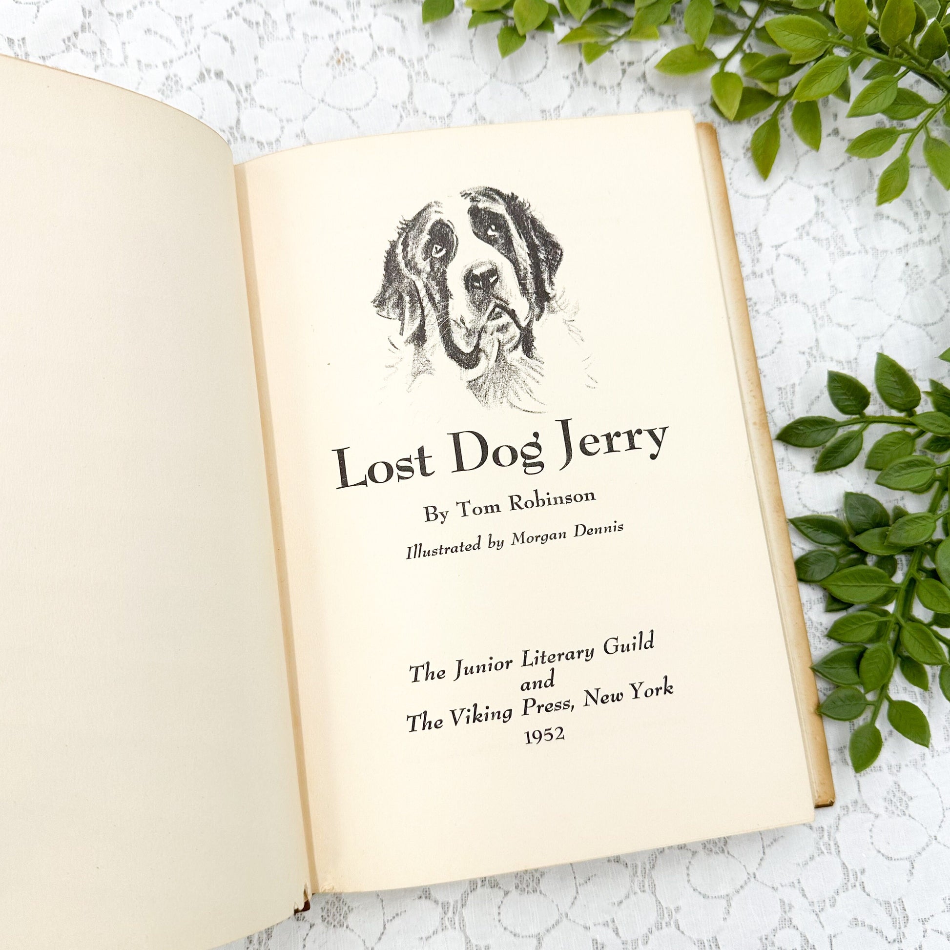 Lost Dog Jerry by Tom Robinson