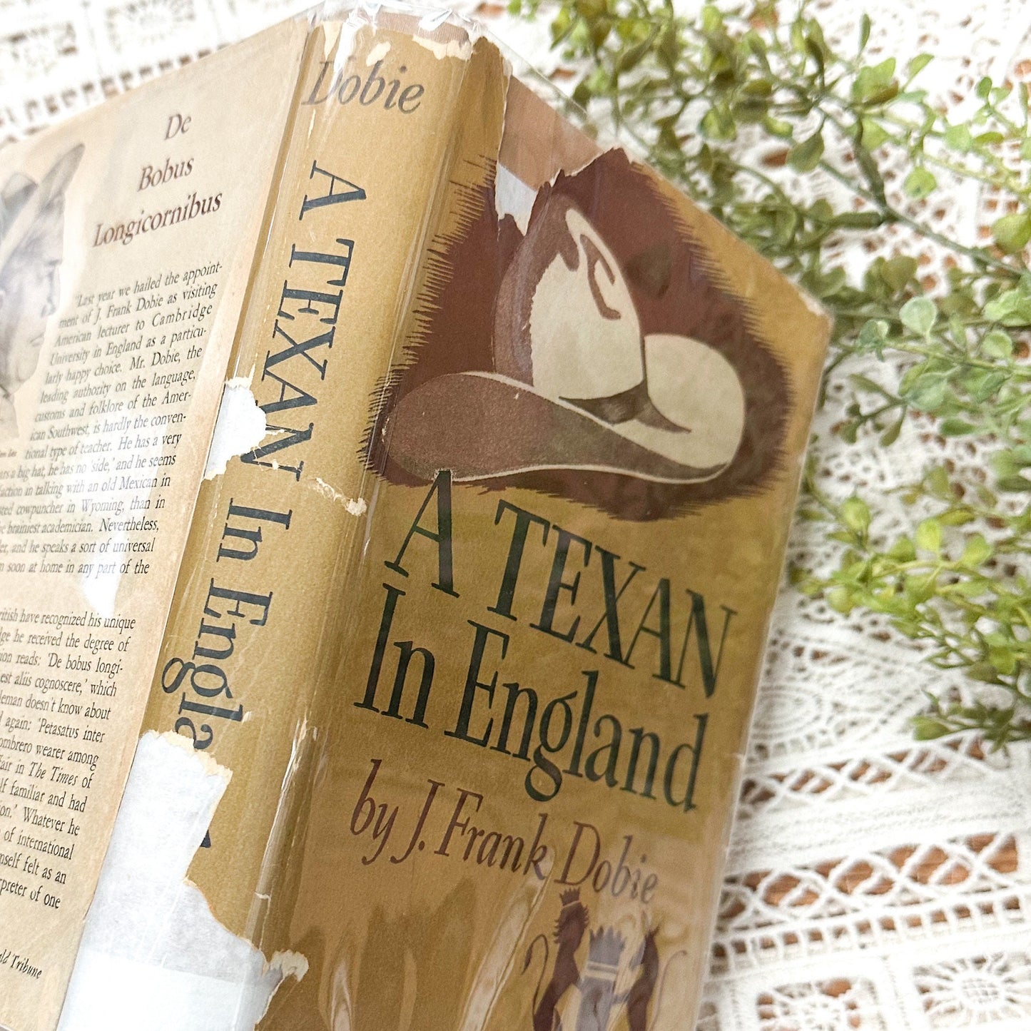 A Texan in England by J. Frank Dobie