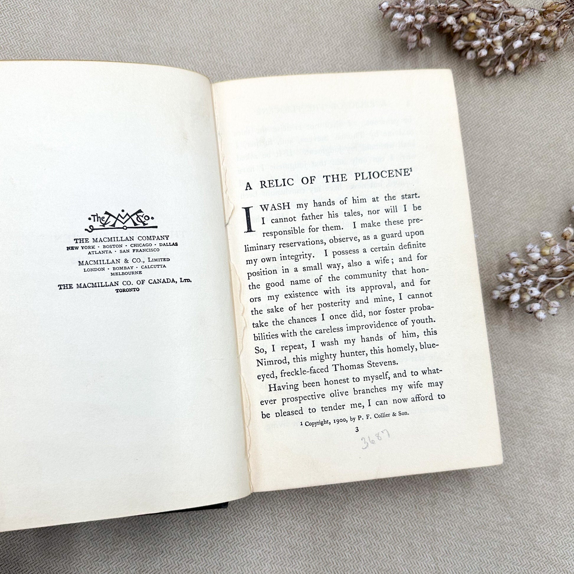 The Faith of Men by Jack London