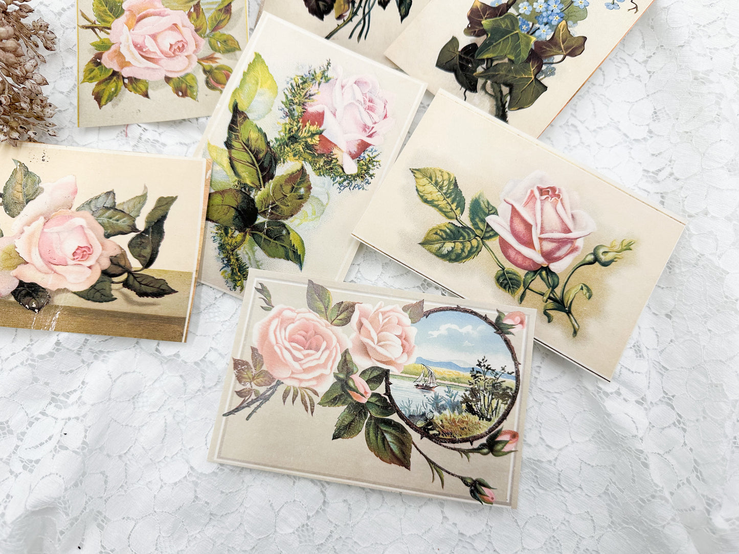 Floral Postcards- Digital Download