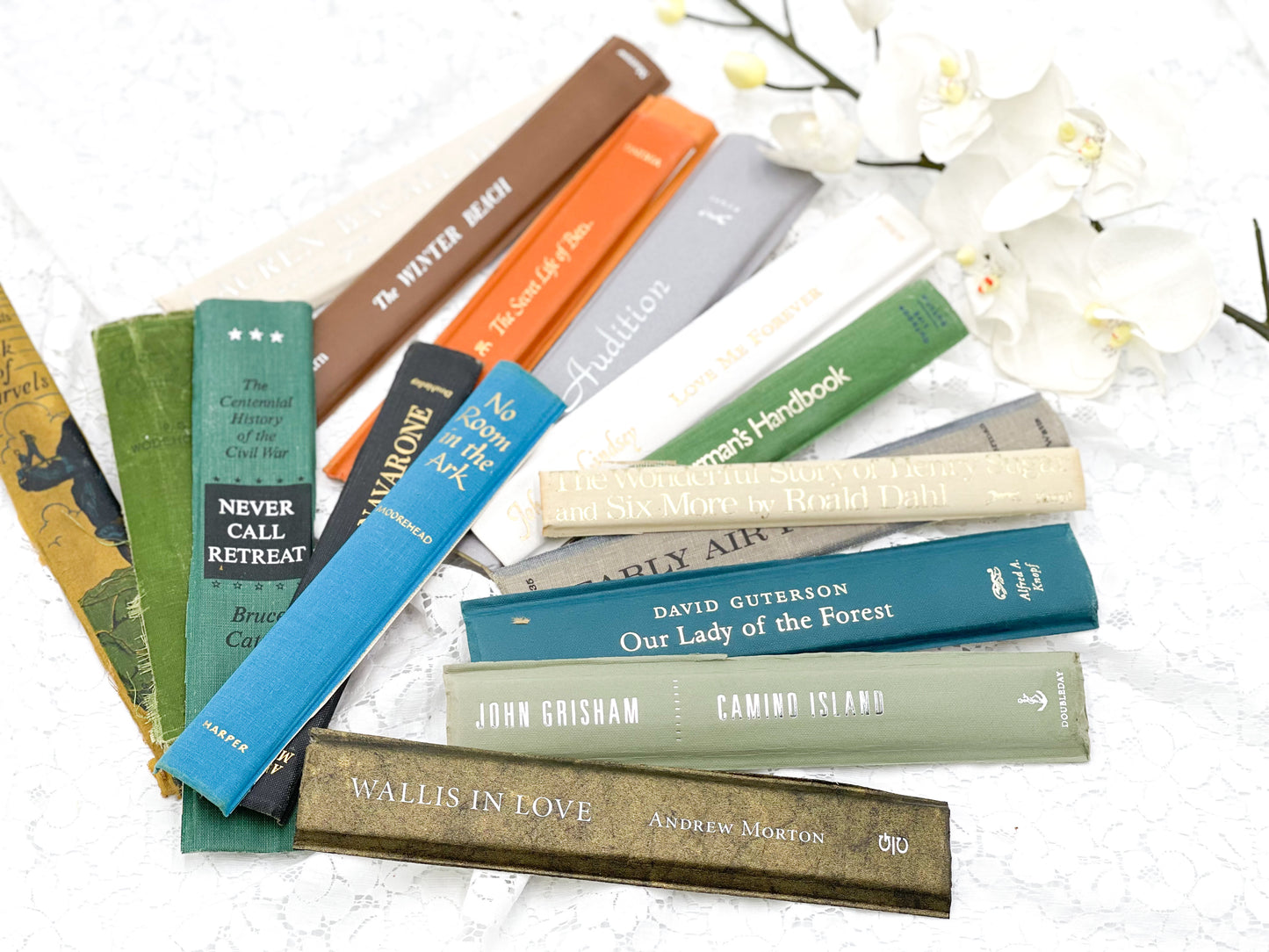 Randomly Selected Book Spines ( Set of 20)