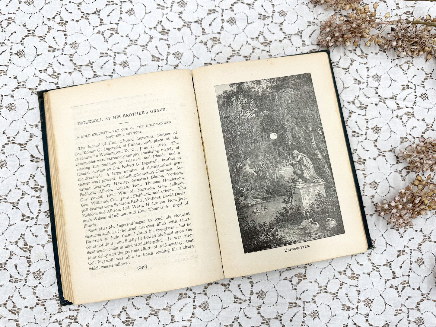 Mistakes of Ingersoll and His Answers