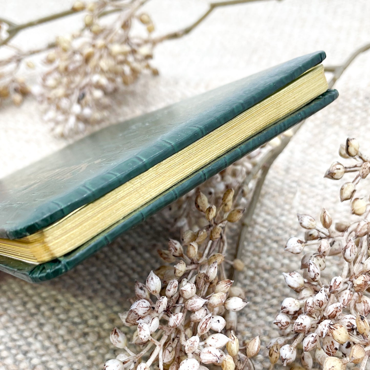 Green Autograph Book
