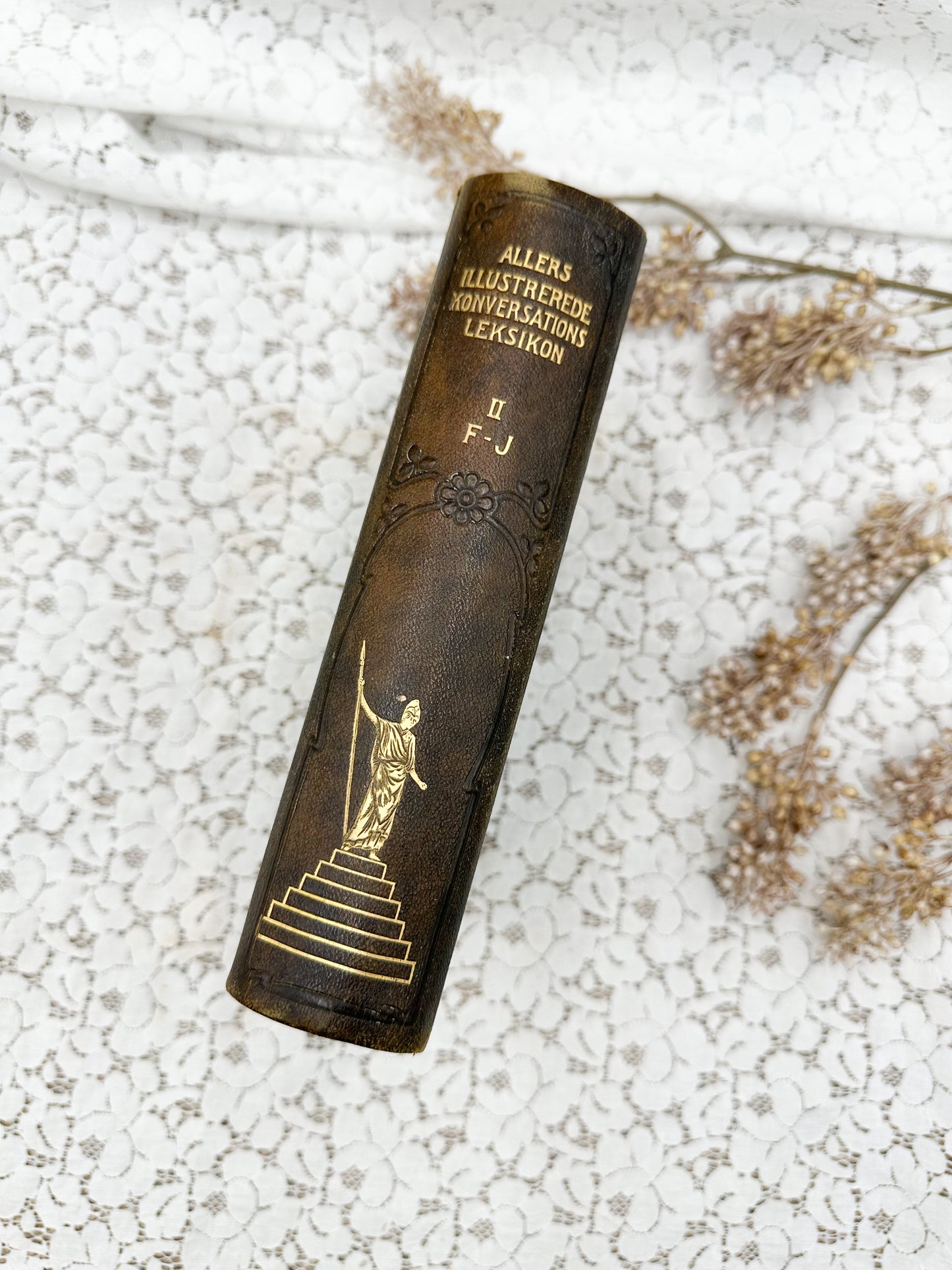 Foreign Illustrated Encyclopedia, II