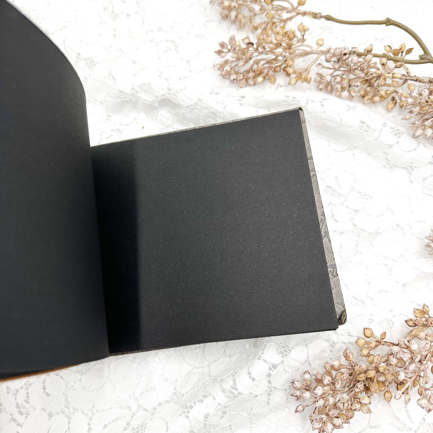 Blank Photo Album
