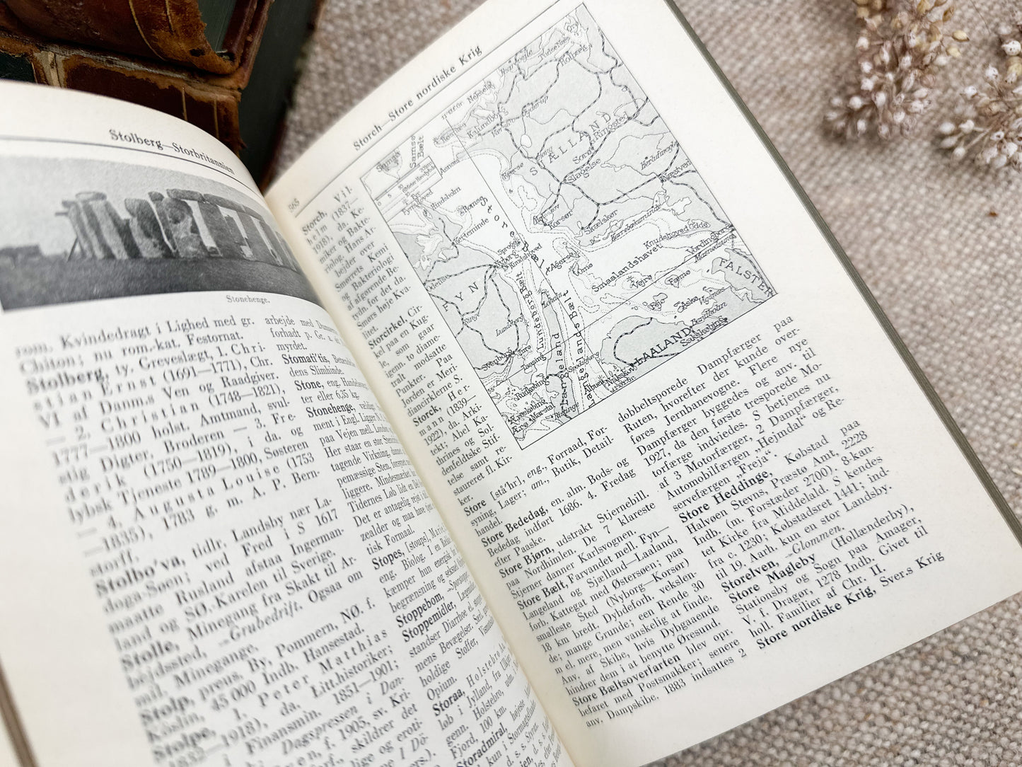 Foreign Language Book with Small Illustrations (4 Available)