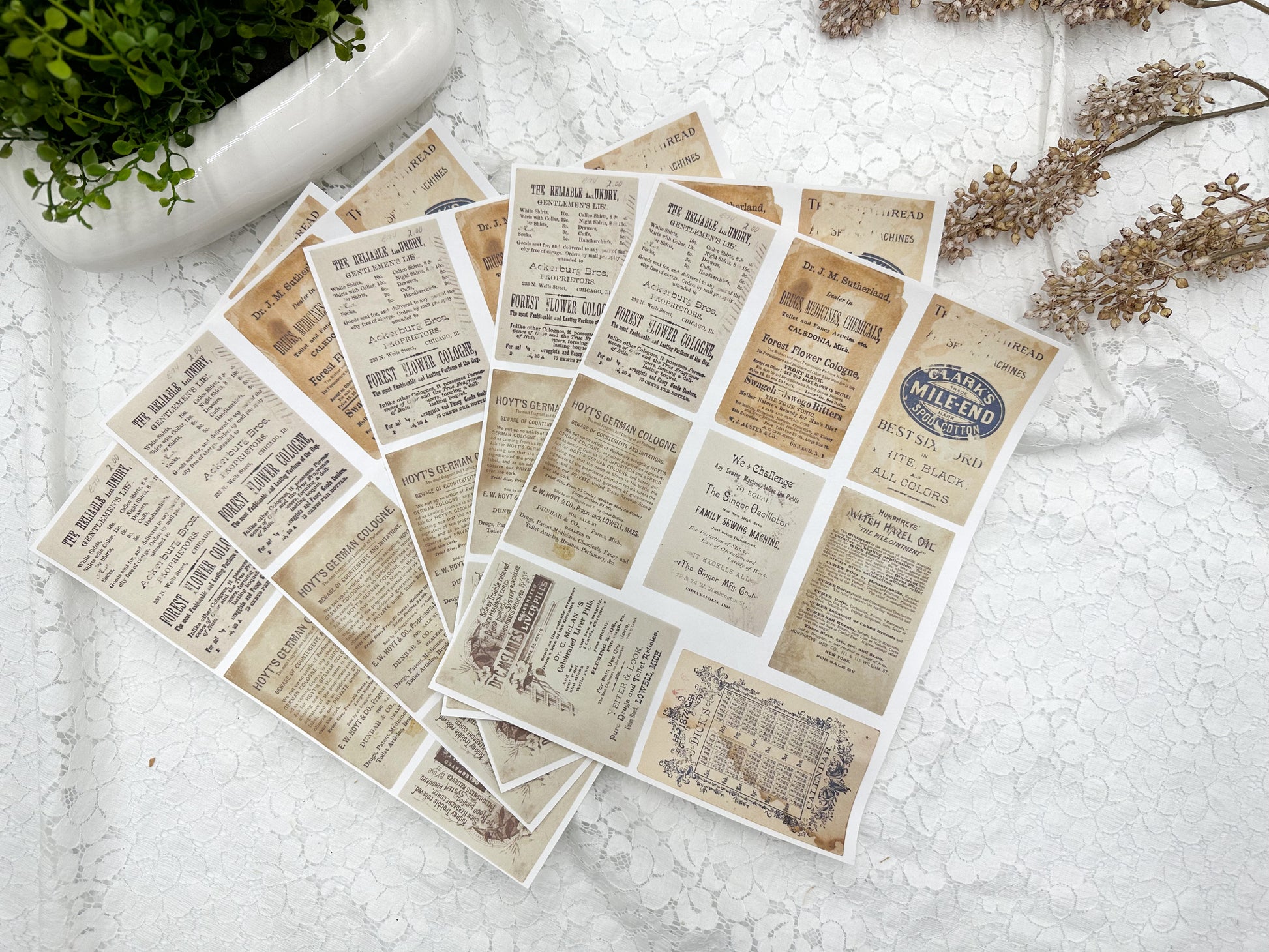 Sticker Sheets- Vintage Trading Cards (Set of 5) – A House of Books