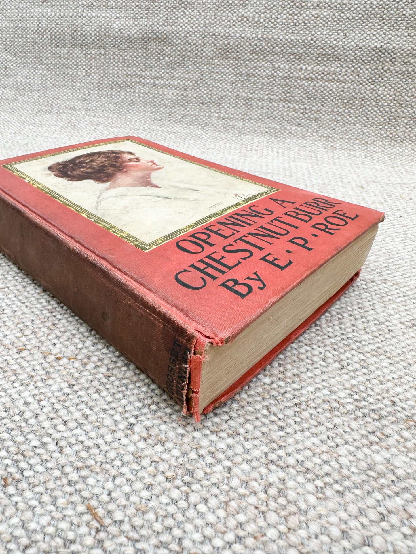Books with Pretty Covers for Journals