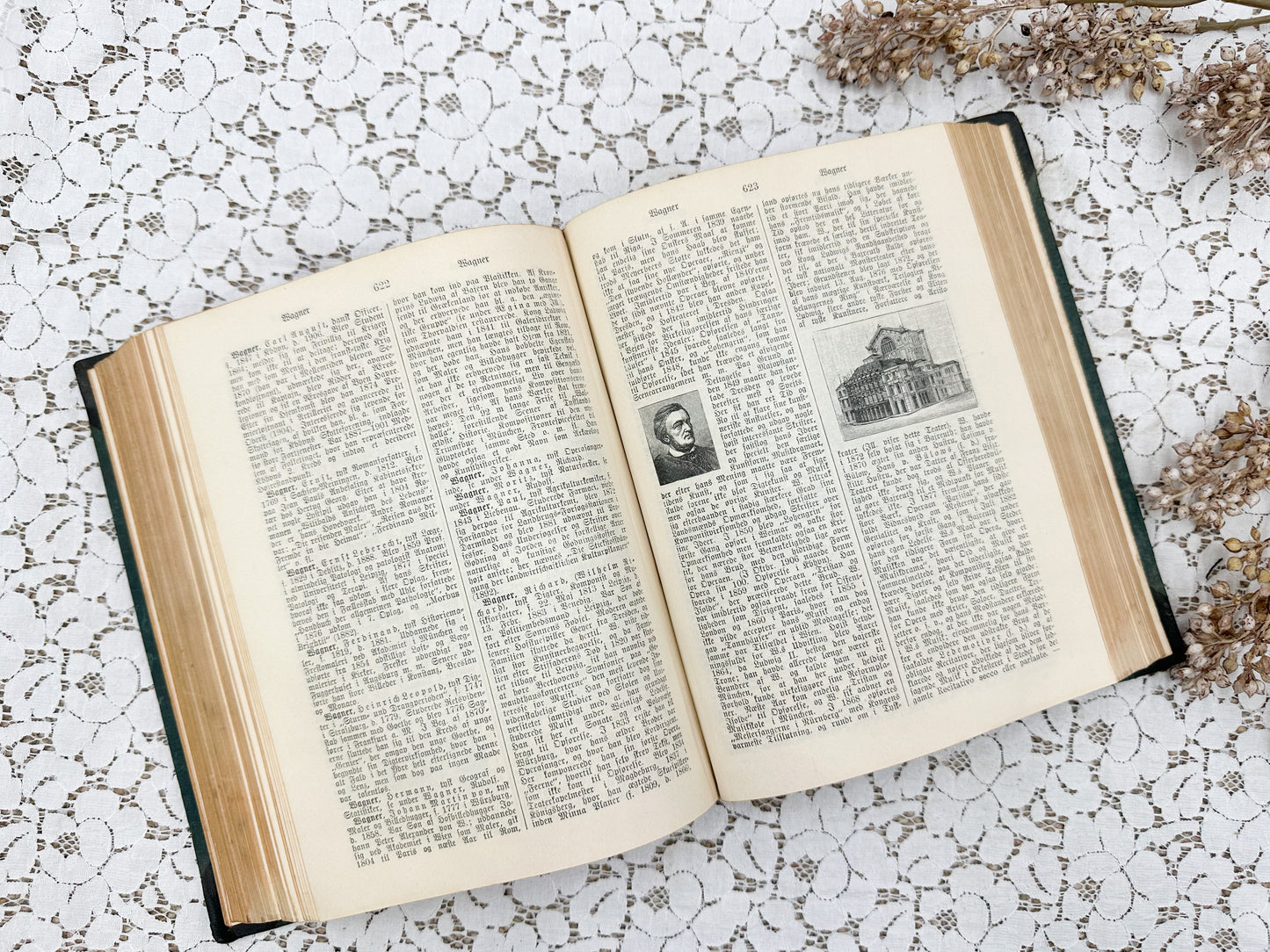 Foreign Illustrated Encyclopedia, VI