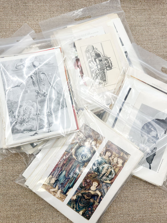 Inappropriate Art, Photos, and Text (3 lbs)