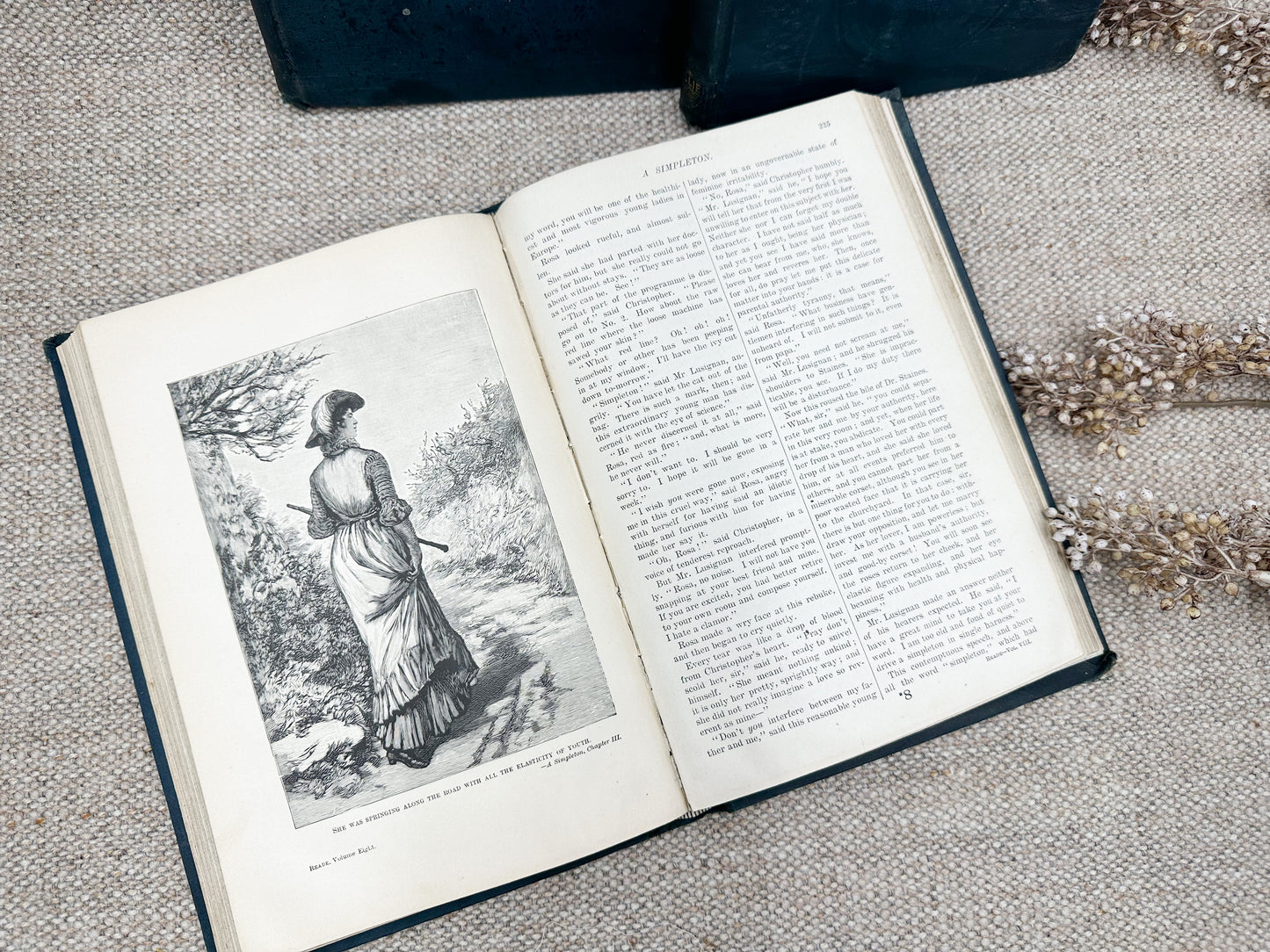 Charles Reade Book (Three Available)