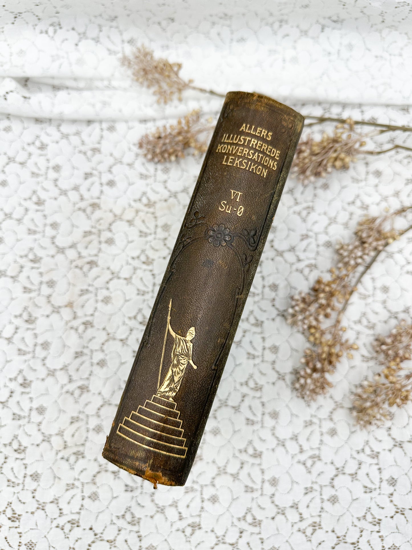 Foreign Illustrated Encyclopedia, VI