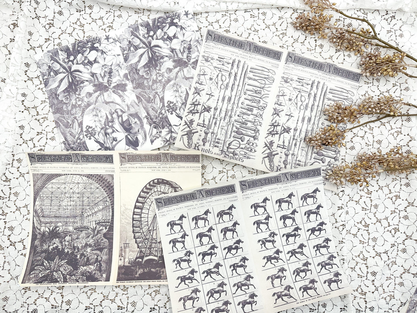 Pages from Vintage Book