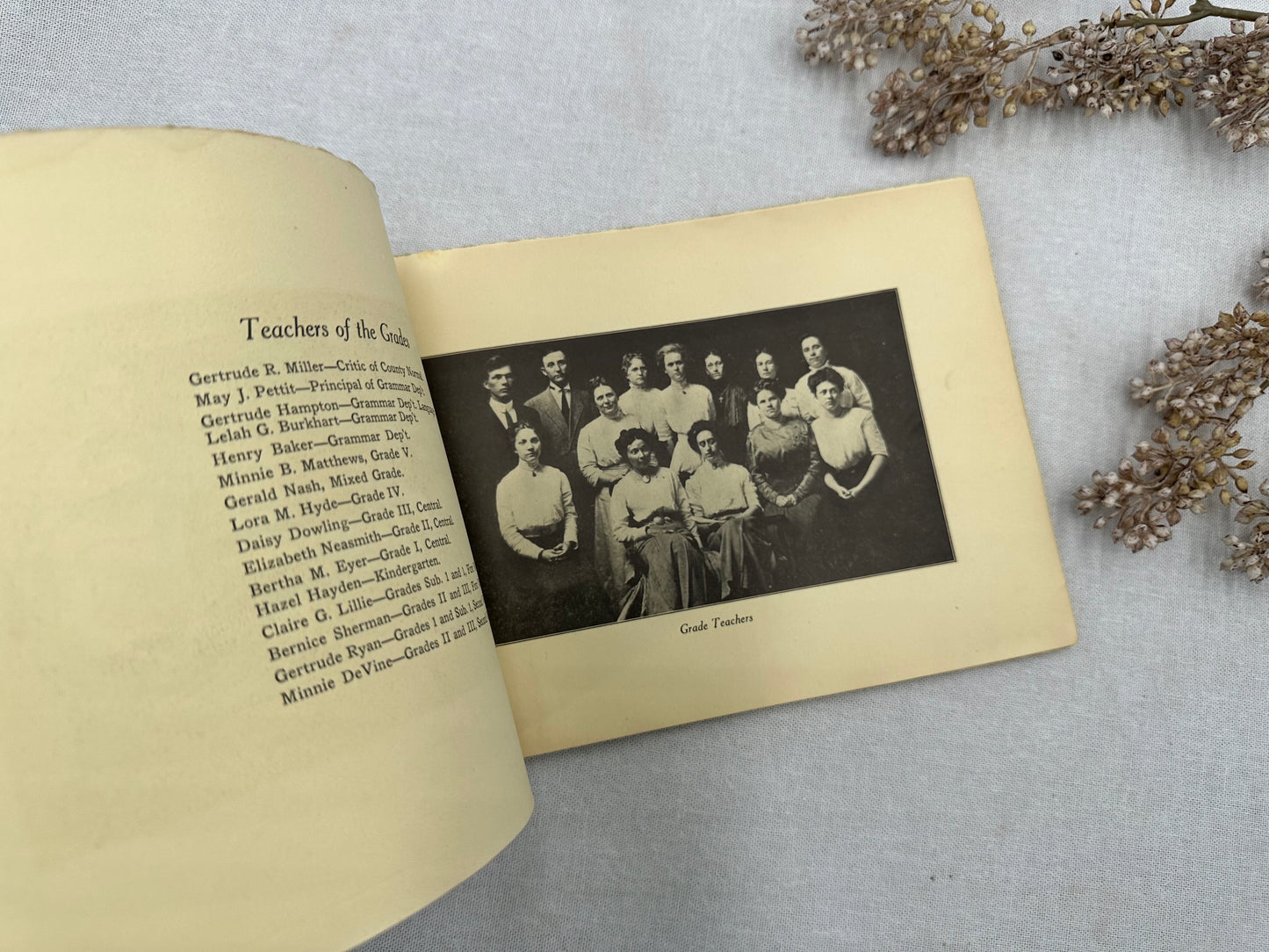 The Druid Year Book- 1911
