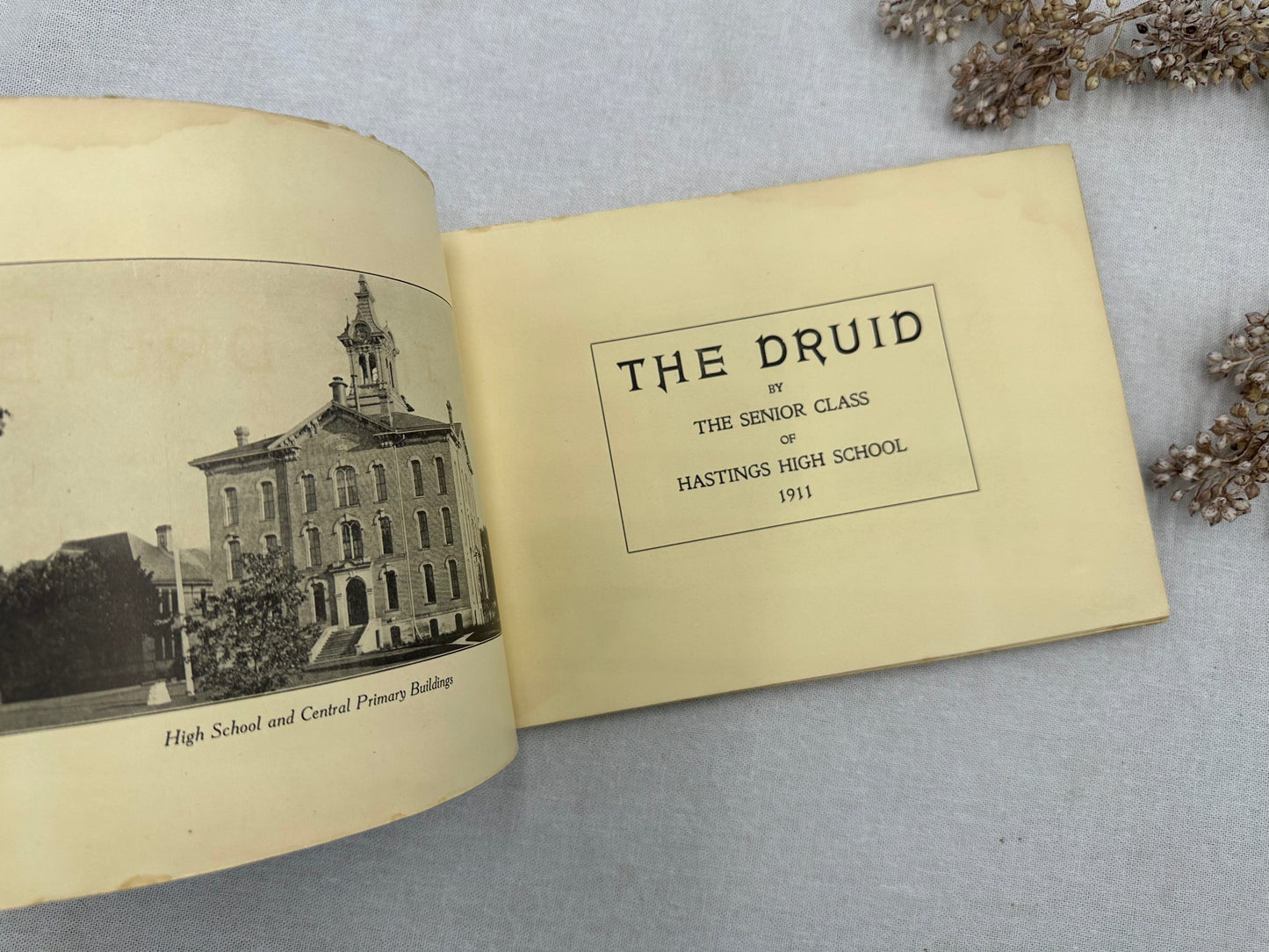 The Druid Year Book- 1911