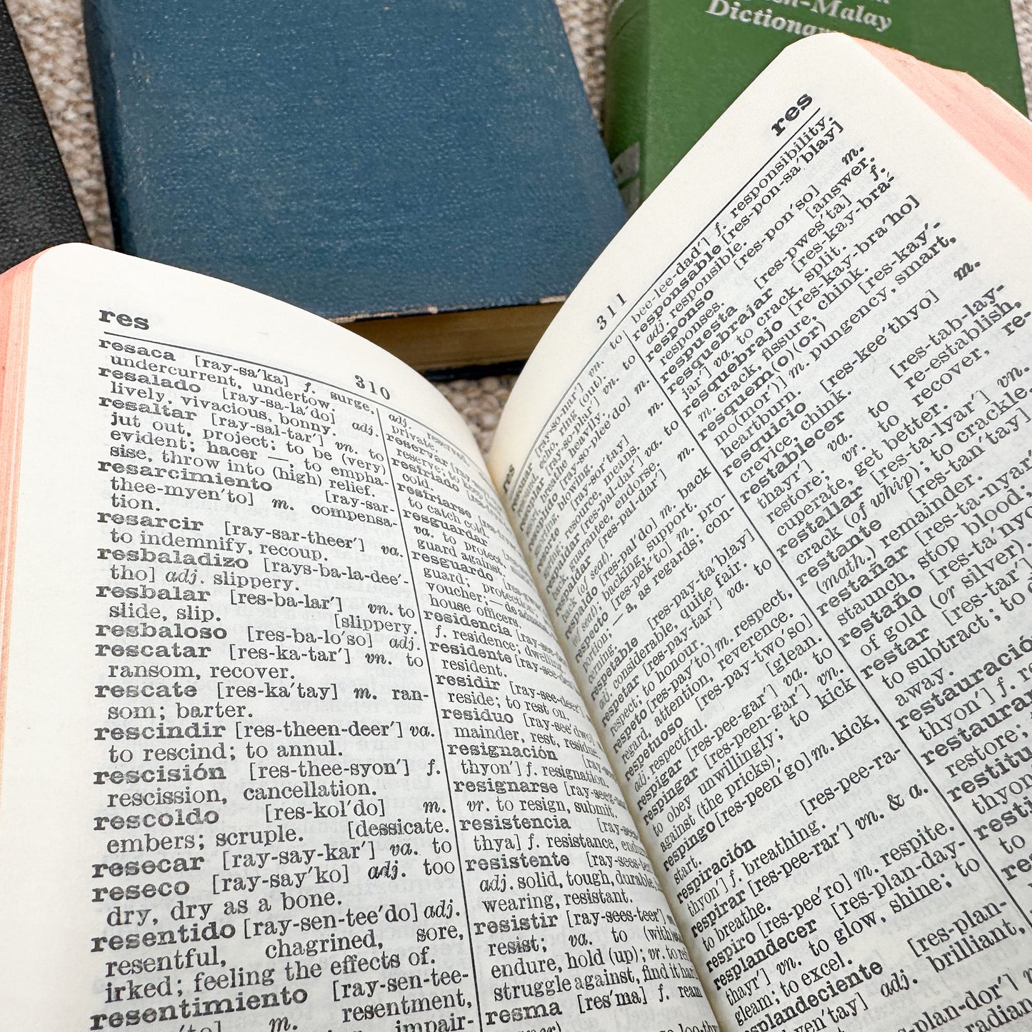 Foreign Language Pocket Dictionary