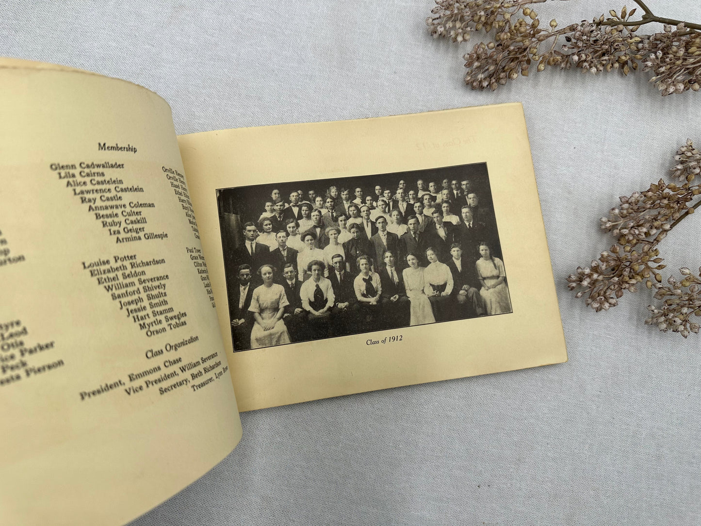 The Druid Year Book- 1911
