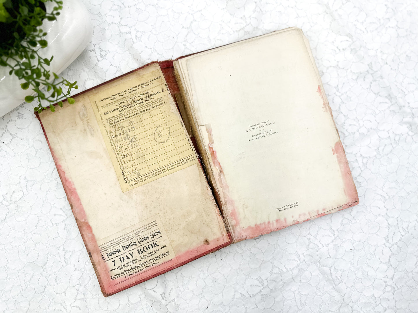 Tattered and Stunning Vintage Book