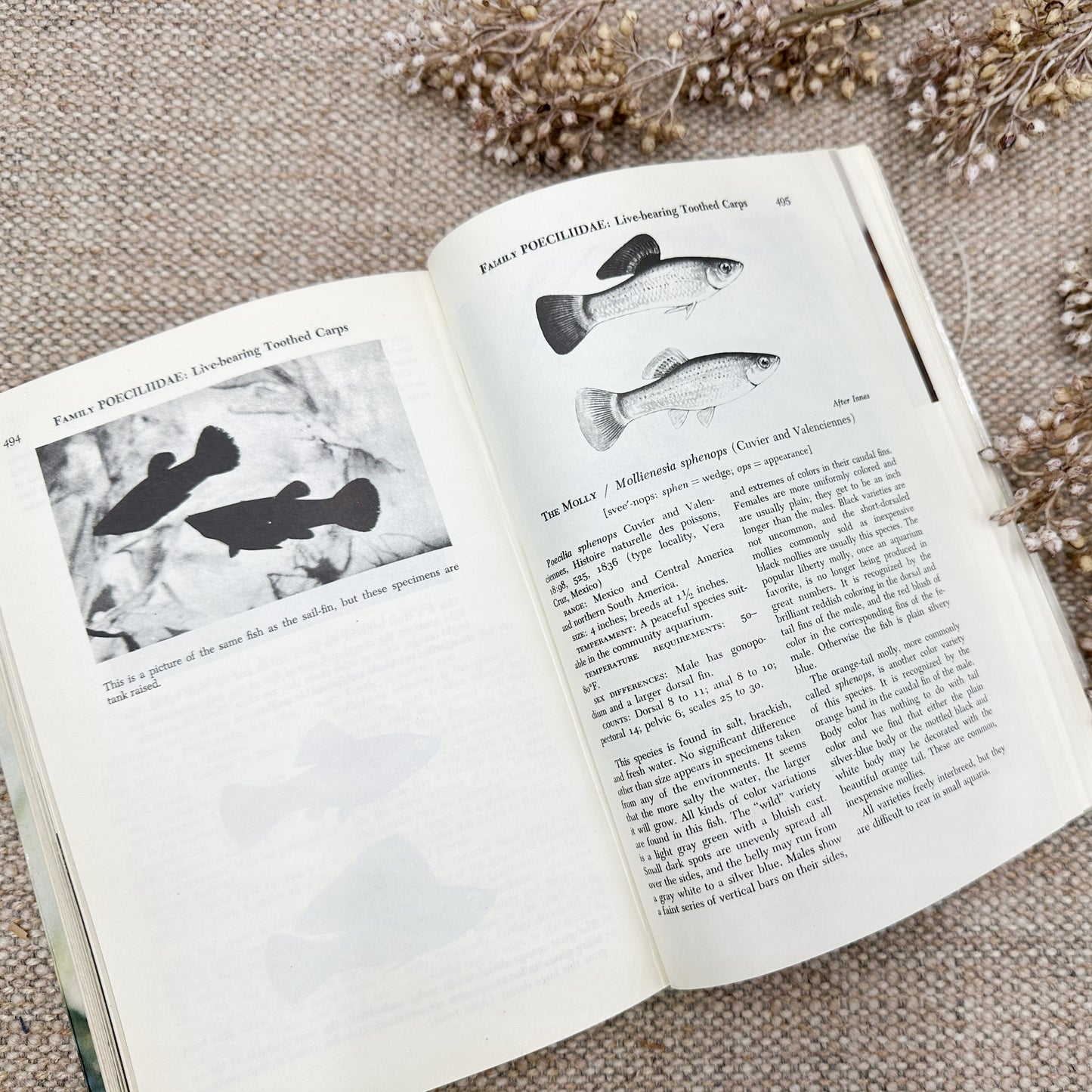 Handbook of Tropical Aquarium Fishes