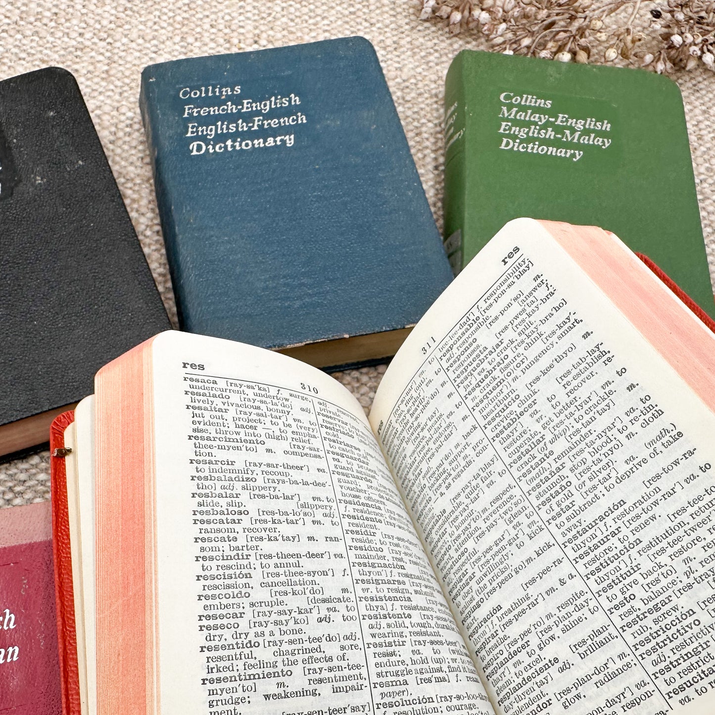 Foreign Language Pocket Dictionary