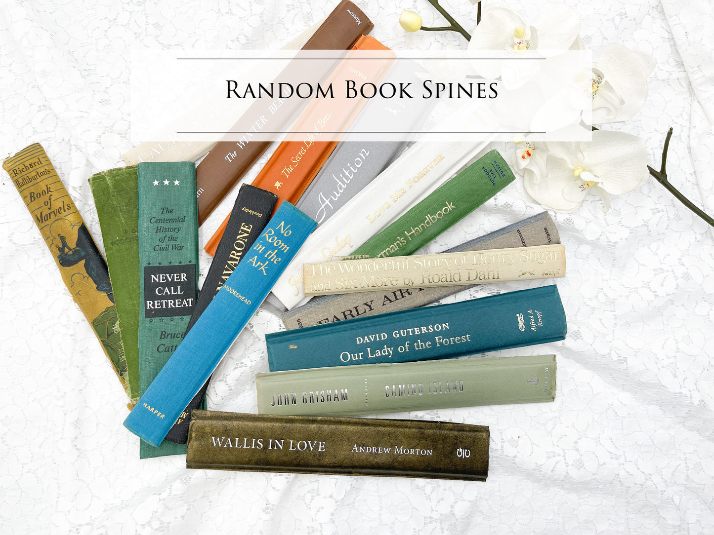 Randomly Selected Book Spines ( Set of 20)