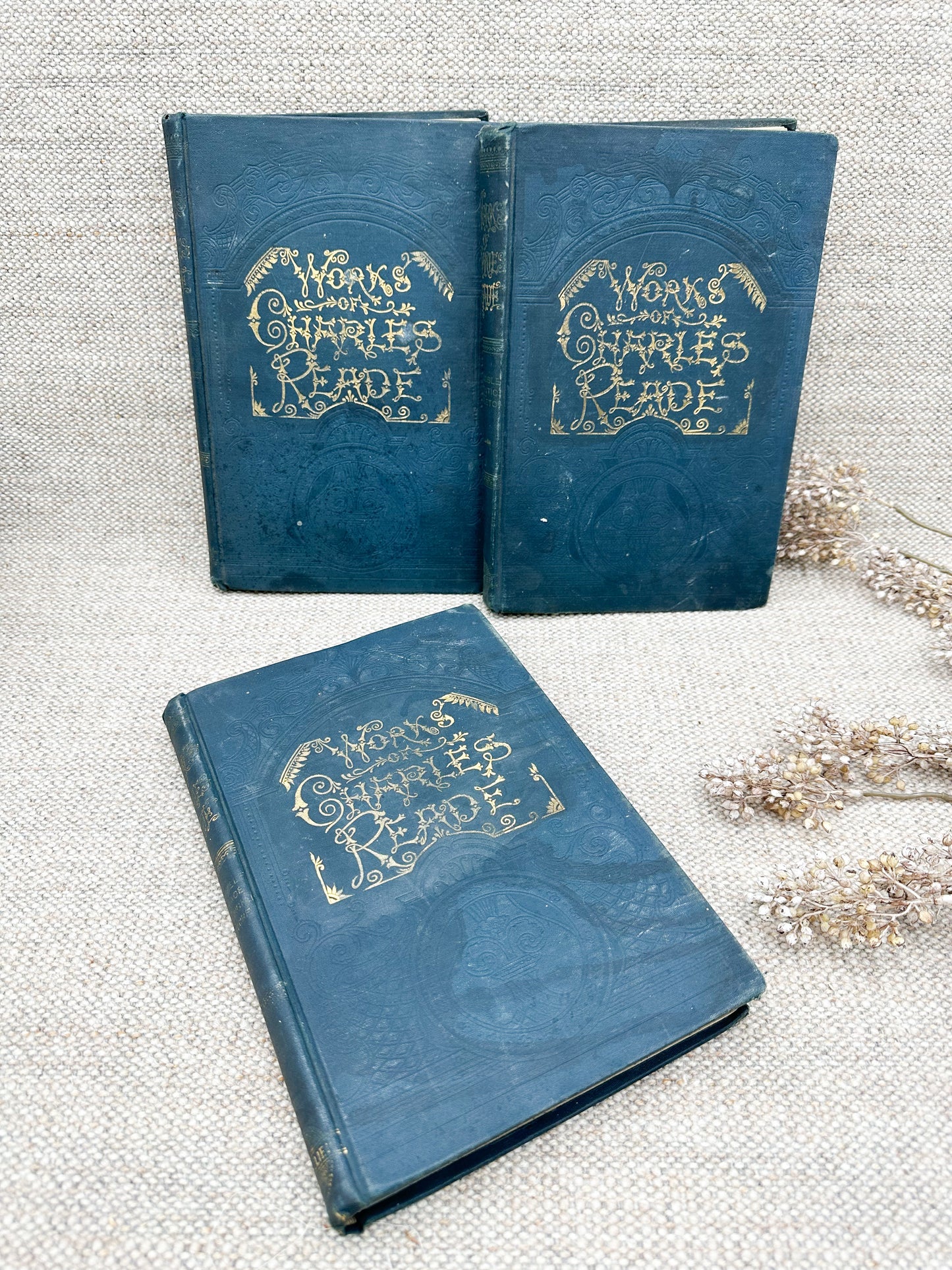 Charles Reade Book (Three Available)