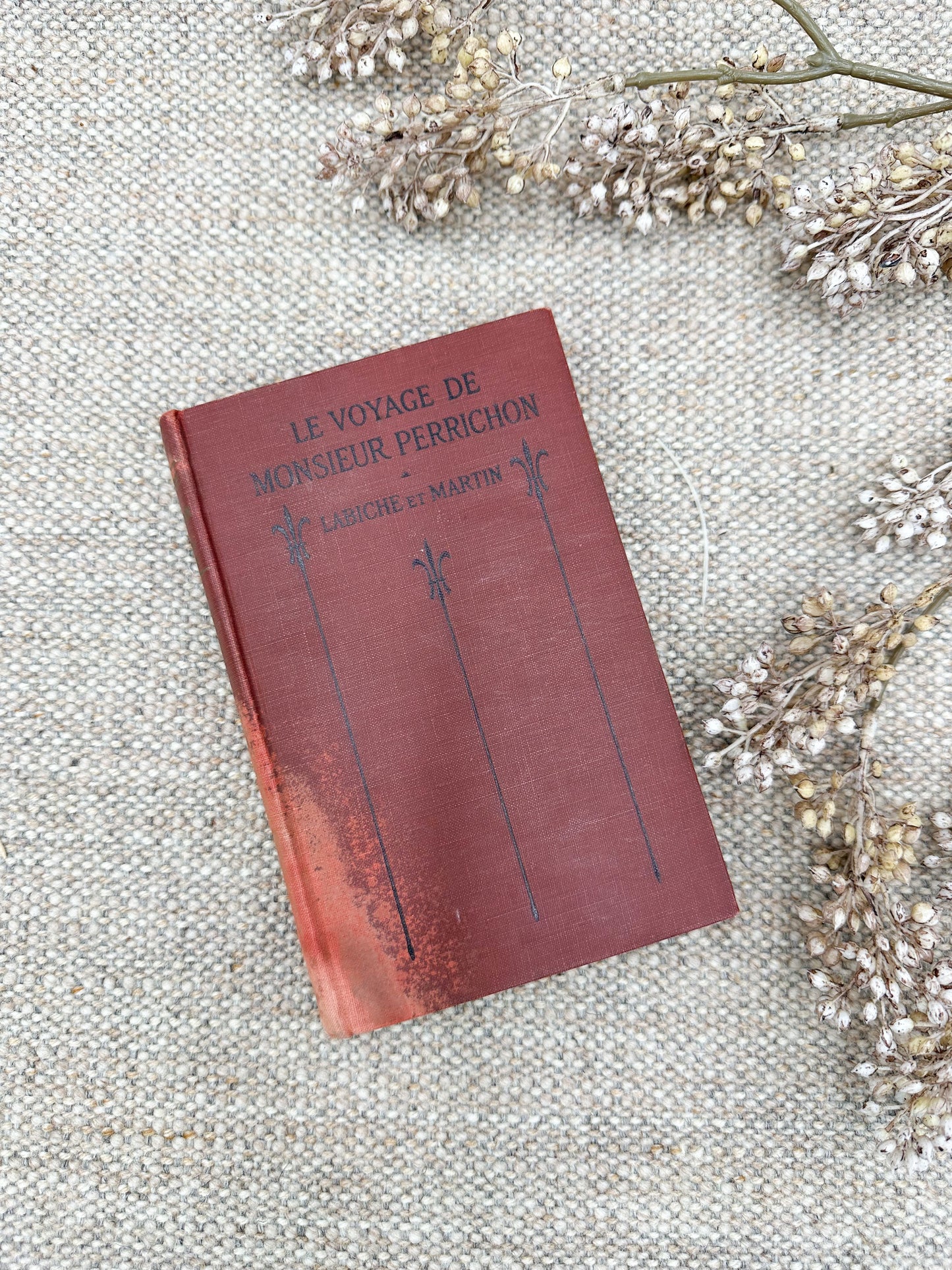 Foreign Language Book- Le Voyage De Monieur Perrichon