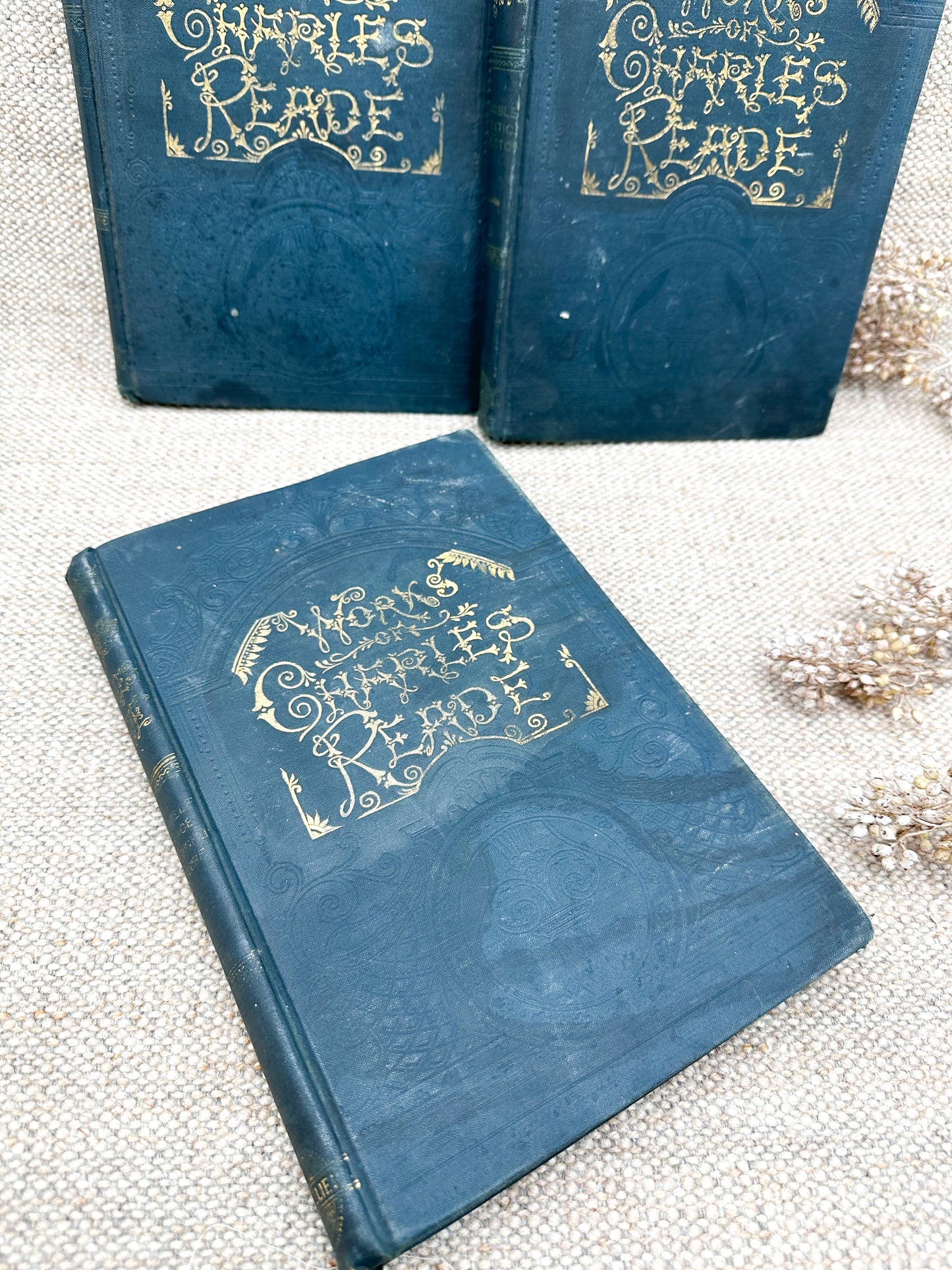Charles Reade Book (Three Available)