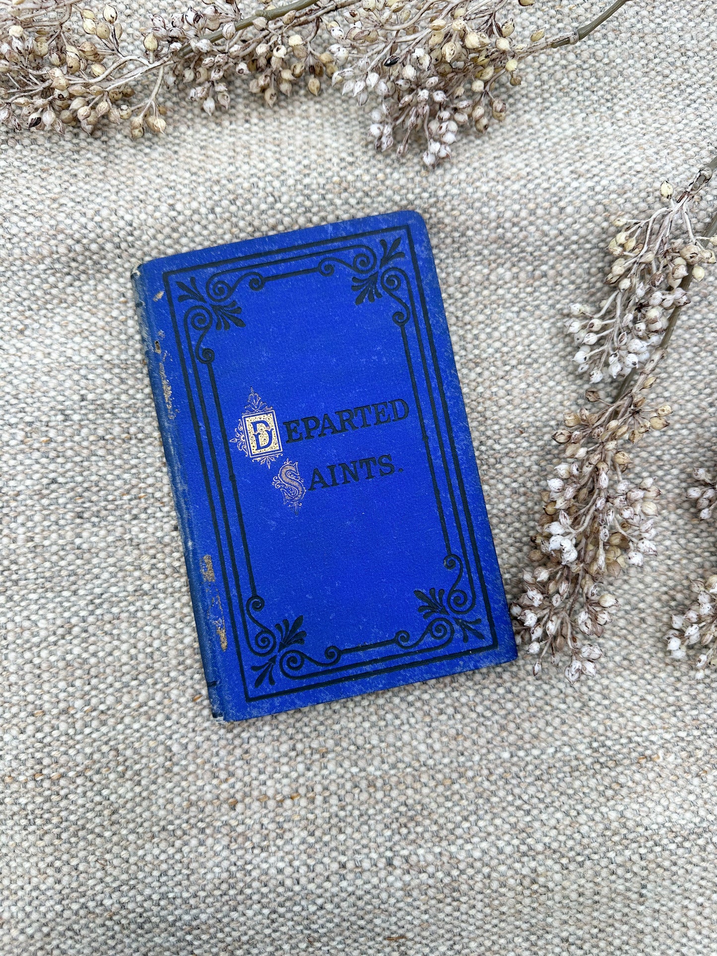 Vintage Book- Departed Saints
