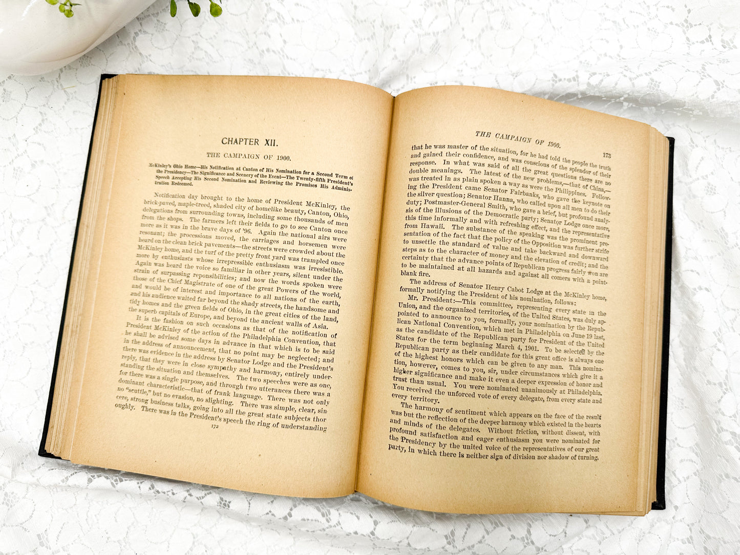 The Illustrious Life of William McKinley, 1901