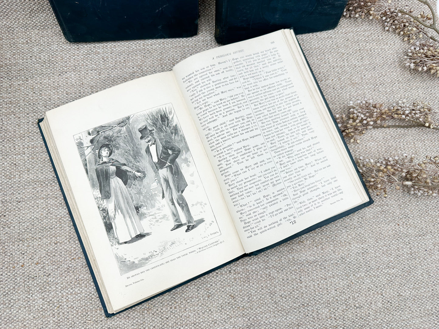 Charles Reade Book (Three Available)