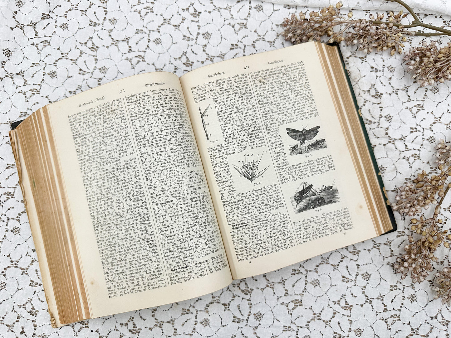 Foreign Illustrated Encyclopedia, II