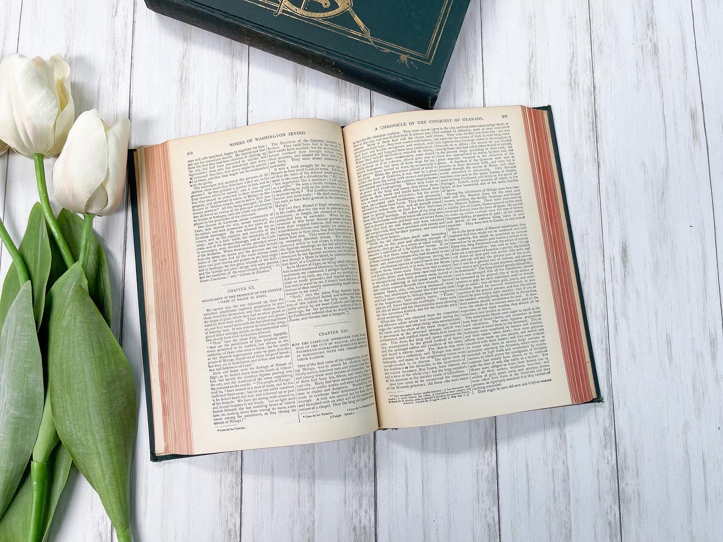 Washington Irving Vintage Book Set