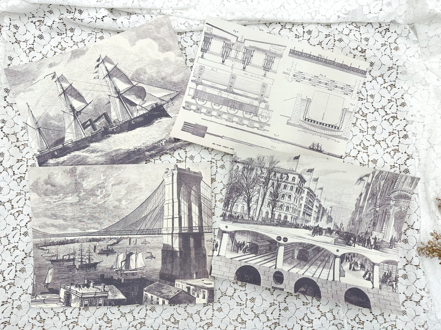Pages from Vintage Book