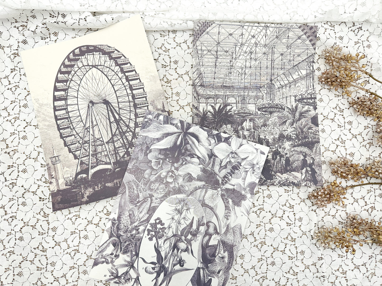 Pages from Vintage Book