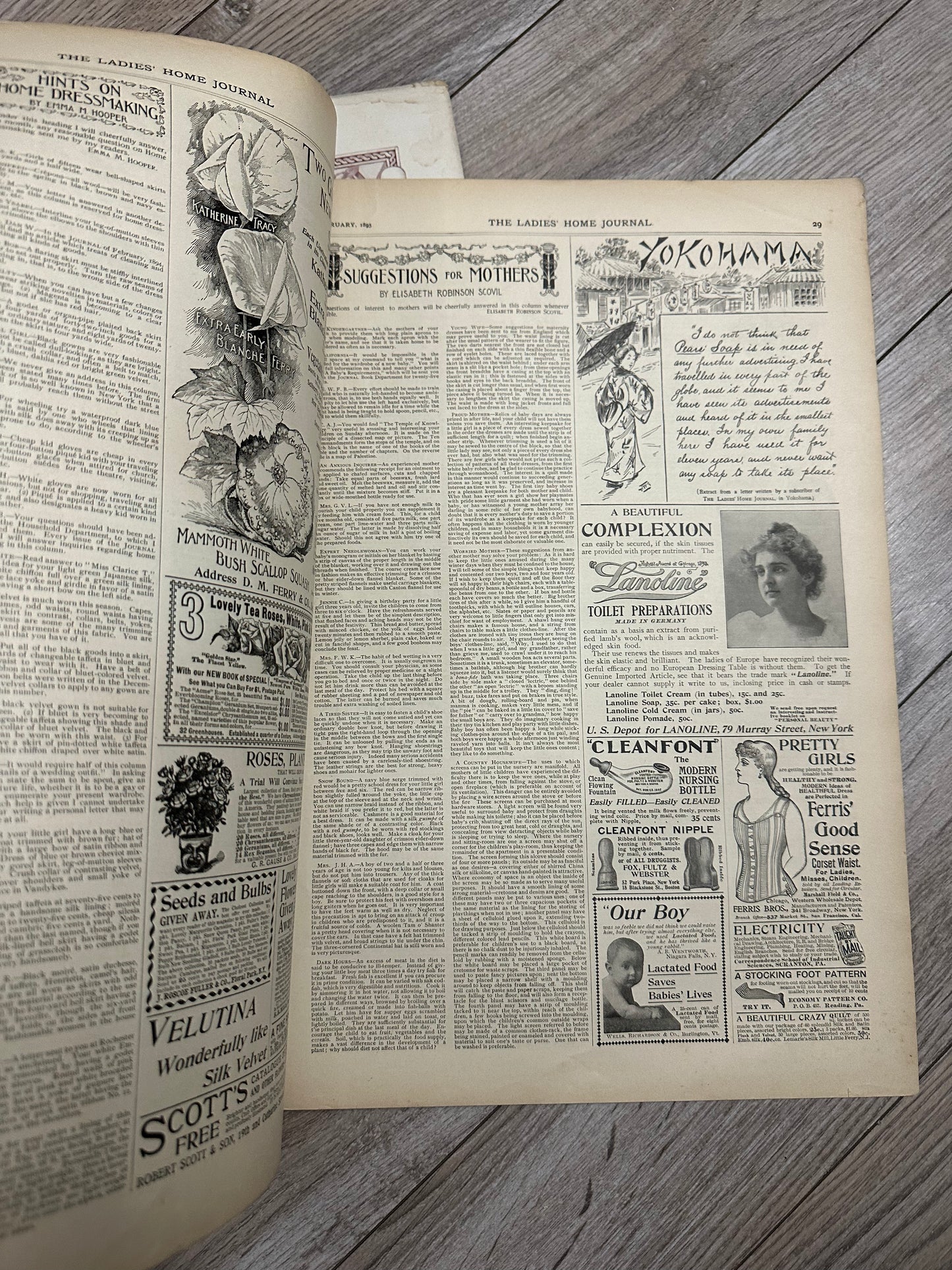 Set of Two- The Ladies Home Journal