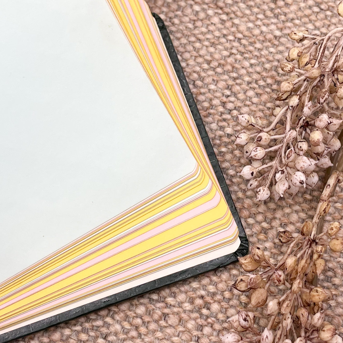 Green Autograph Book