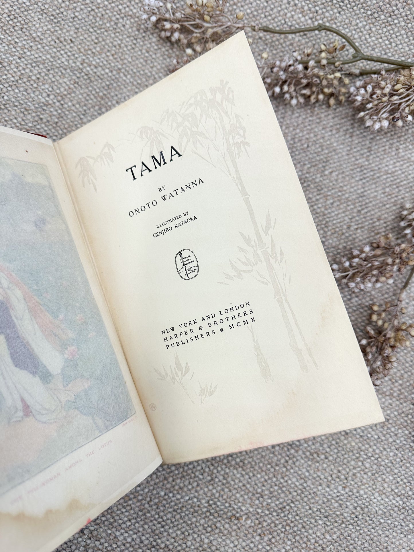 Tama by Onoto Watanna- Every Page Illustrated!