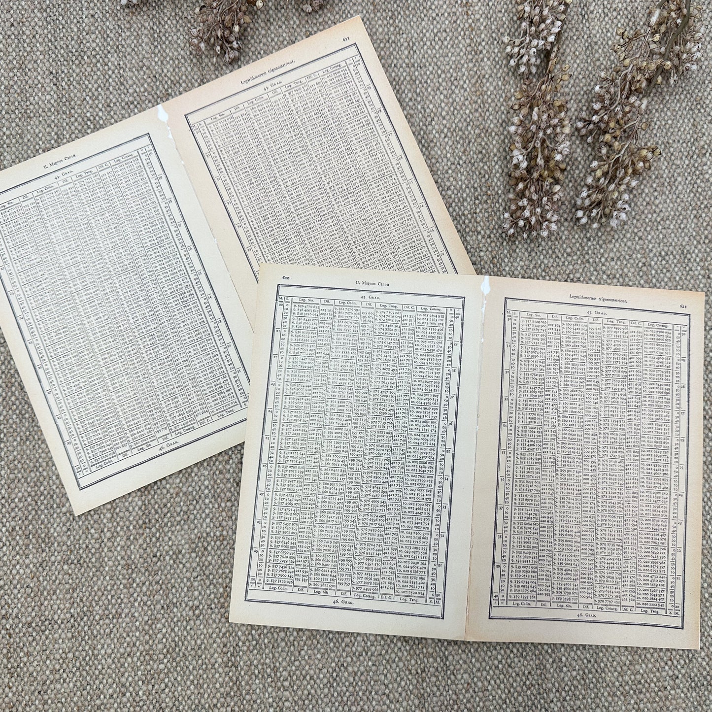 Double Sided Page Pack- Reproduction Vintage Papers